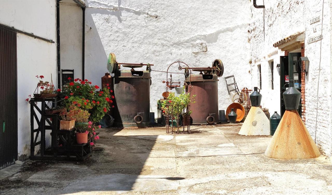 Gasthaus Molino El Vinculo Zahara De La Sierra Exterior foto