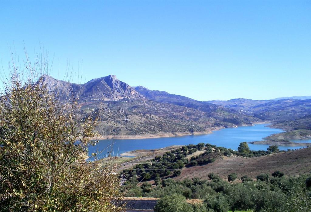 Gasthaus Molino El Vinculo Zahara De La Sierra Zimmer foto